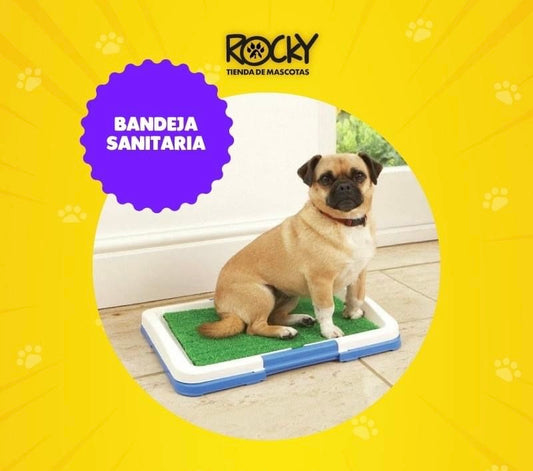 Bandeja sanitaria cachorros o perros chicos